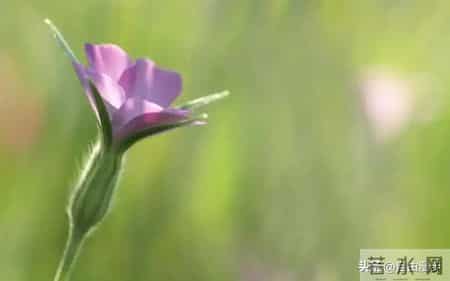 孩子，上天送你的“幸运盲盒”，拆开就是人生赢家