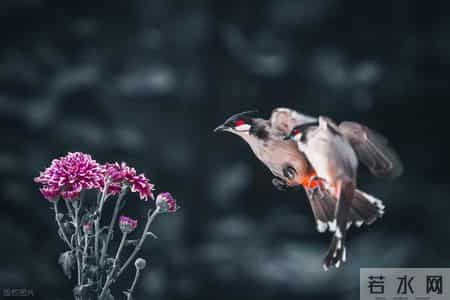 底层逆袭的人都明白：让你付出少回报大的三条铁律