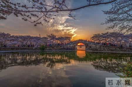 “苏大强”的养老难题，经济引擎轰鸣，退休后的出行却仍显沉重