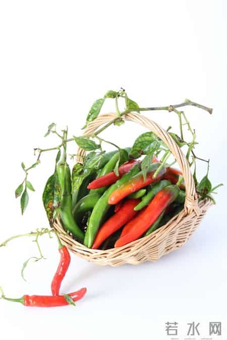 家庭建议：给父母“照顾式养老”，要尽量不要开始太早