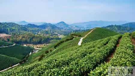 女子产后被男人家暴，特珠原因流出，丈夫距离婚，妇联已介如