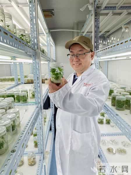 托举十大道地楚药底盘——专访湖北科技进步一等奖获得者、湖北中医大学刘大会教授团队