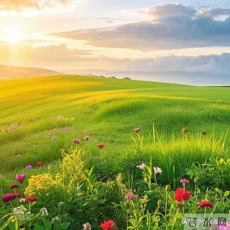 人老以后，没人会告诉你的4个残酷现实