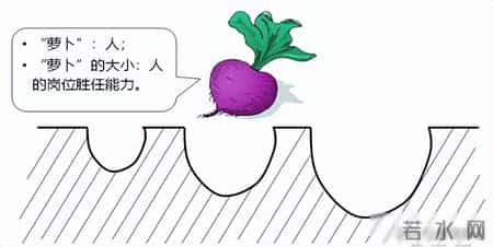 互联网公司纷纷陆续采用统一数字职级，组织终于想明白了