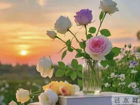 2026年第一份亲子福！为孩子接住，前程越来越顺！未来越来越好！