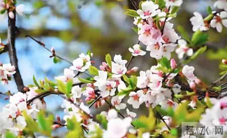 子女没出息，母亲往往是根源：尤其是这3种妈妈，再忙也要看看