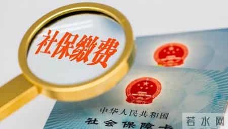 社保致命误区！临退休冲300%纯亏？大叔算透3组数据，劝你赶紧改