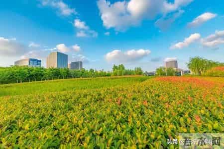 我终于明白：女人唯一的出路是工作！