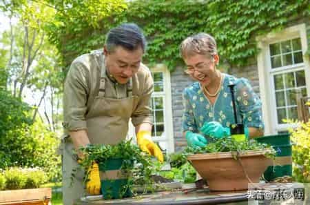 老而不死，寿则多辱，人这一辈子，活到70最幸福，这句话对吗