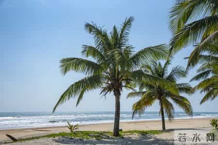 记住！心狠可破万局