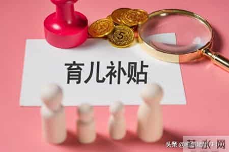 2026年育儿补贴今日正式启动，你知道申请的具体详细指南吗？
