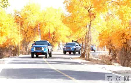 家有神兽赶紧进来接，头顶繁星脚下生春风，这泼天的富贵必须收！