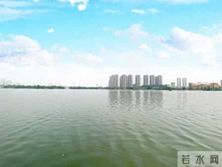 人到晚年，若只有一个儿子：做好3个准备，既省心又护家