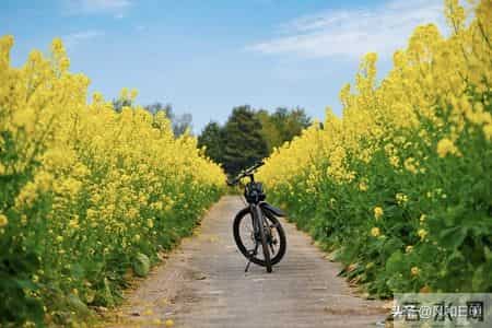 废掉一个孩子最快的方式，就是让他“按你的道理”长大