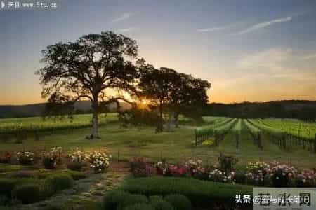 退休2年，我才发现，65岁以上还在拼命打工的人，基本上是这5种人