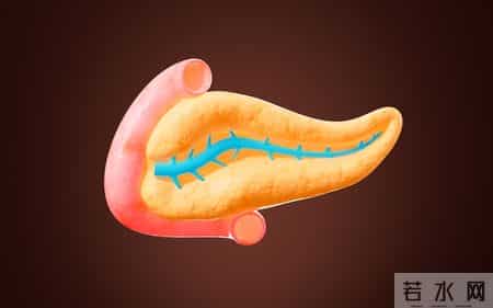 哈佛解剖300名糖尿病死者，吃惊发现：易患糖尿病的人，有6大恶习