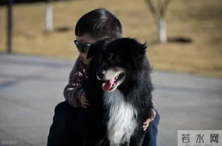 为什么很多男孩越管越糟？真相很扎心