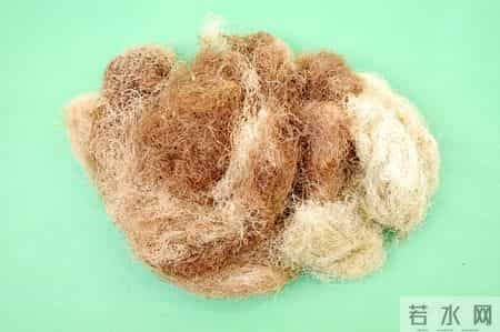 芹菜菠菜靠边站！这才是“推粪大将”，3天清空宿便，小肚子平