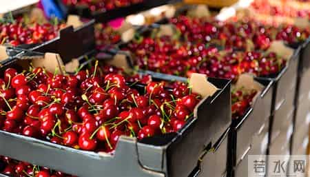 车厘子再引热议！医生：糖尿病患者吃它，务必多重视这 3 点