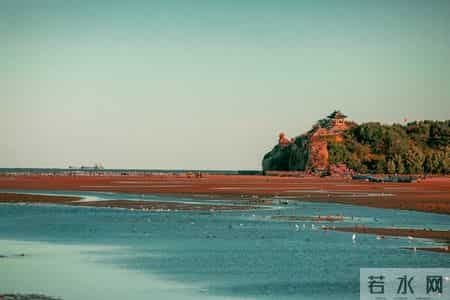 研究生纳入编制体系考核了？以下想考公的同学，必须先考研