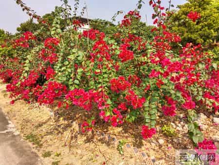 你有没有发现，孩子每到睡前就有说不完的话？