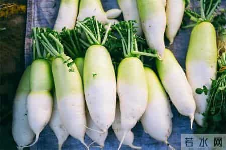 萝卜立大功！研究表明：高血压患者常吃萝卜，或能改善4种并发症