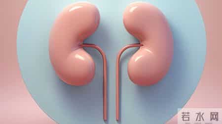 这几种“美食”，正在悄悄拖垮你的肾！第 1 个很多人常吃