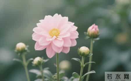 被人看不起时，聪明的活法：不纠缠，不内耗，不讨好