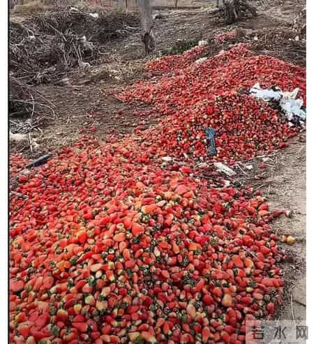 被曝“最脏水果”第一名，给娃吃易上吐下泻？关键操作看这里