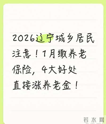 2026辽宁城乡居民注意！1月缴养老保险，4大好处直接涨养老金！