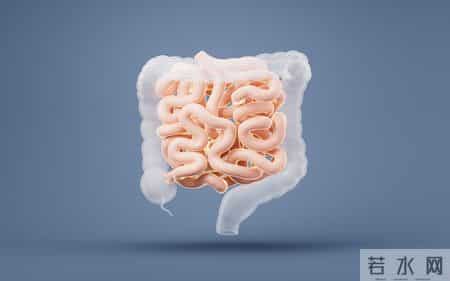 4个动作，促进肠道蠕动，改善便秘