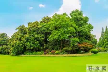 我退休后，不打麻将，聚会，跳广场舞，这样生活也感觉很充实