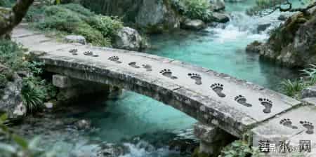 头条新手顿悟：随手点的赞，竟是未来最值钱的铺路石