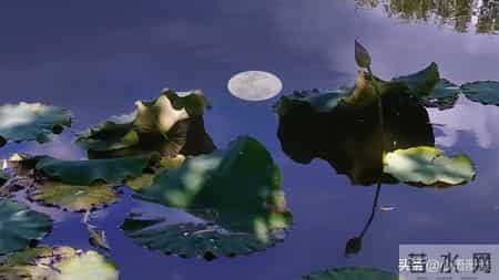 我52岁，退休后才发现：哪怕每月一两千的退休金，也是被人羡慕的