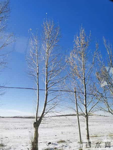 日常俗语谚语里的管理智慧（1）——打人不打脸，骂人不揭短