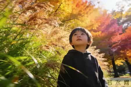 告诉你：对待孙辈，爷爷奶奶要记住四不原则，很管用！