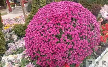 孩子离“贵人”就差一步：不是运气差，是缺了五样“接住”的本事