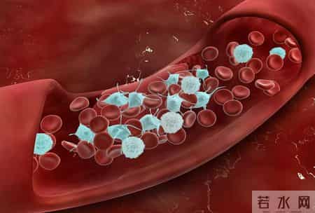 白酒再次成为关注中心！医生发现：冠心病喝白酒时，多留意5点！