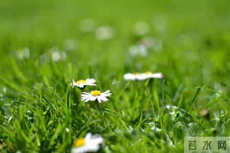 人到晚年，如果你只有一个儿子，请尽快做好这4个准备