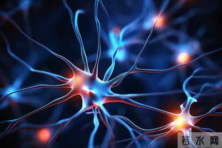 研究发现：能长寿的糖尿病患者，在确诊后，就慢慢远离这6事了