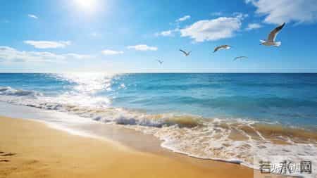 身边的亲戚朋友总爱念叨一句话：不结婚不生孩子，老了谁管你？