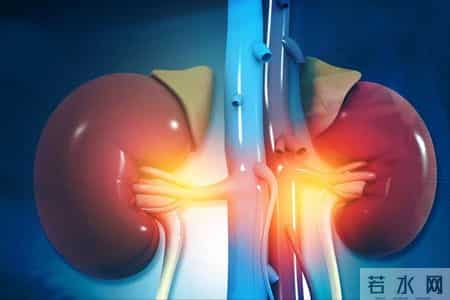 调查发现：肾病患者若经常吃芋头，过不了多久，身体或有6改善