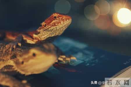 嘴快一时爽，懊悔一辈子，口不择言的惨痛教训