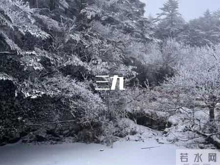 明日入三九，记得：1酒不喝，2物不吃，3事不做，温暖过冬迎新年