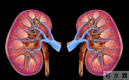 研究发现：经常走路锻炼的肾病人，过不了5月，身体会迎来4大好处