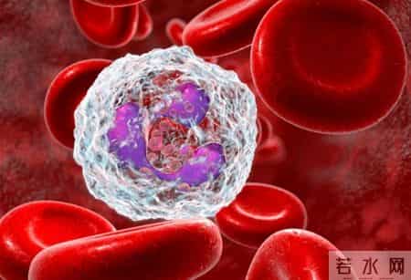 在血常规检查中，知名专家：这2项数值异常，可能是肿瘤信号！