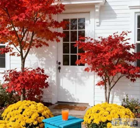 4位同学退休2年病倒两个后，我发现：没特殊经济困难，还是躺平好