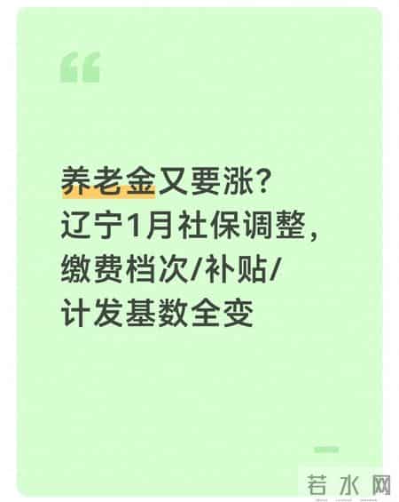 养老金又要涨？辽宁1月社保调整，缴费档次-补贴-计发基数全变