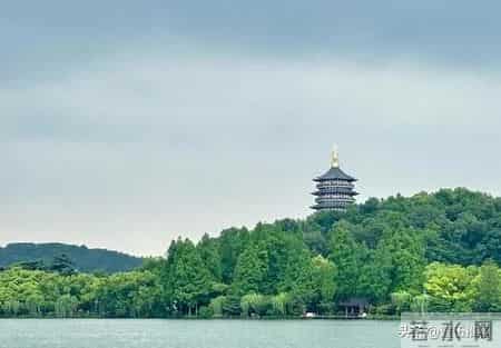 养出这样特征的孩子，才是父母的最大的福报，你就偷着乐吧！