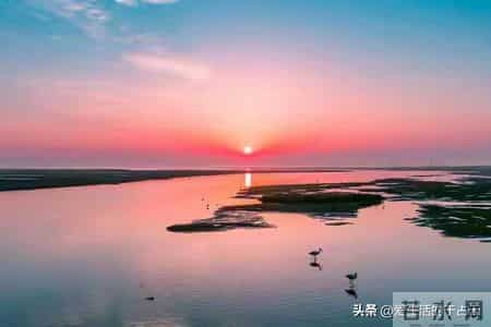 老了才懂：家有一宝是谎言，八十岁后，儿女渐生嫌弃心